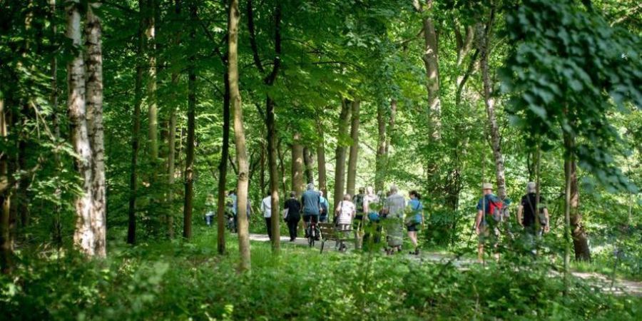 Wandelaars in een park Wandelaars in een park